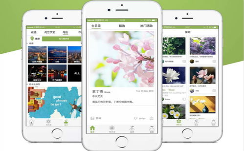 山西花卉種植App開發與成品系統——鄭州專業軟件解決方案